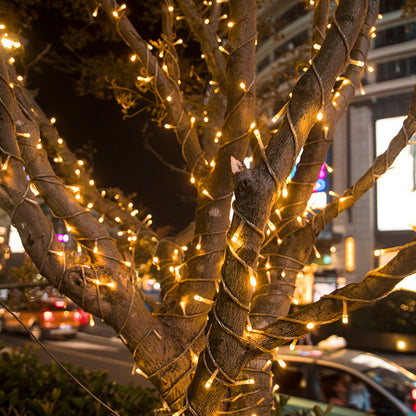 Commercial Warm White LED String Lights For Patio & Holiday Projects